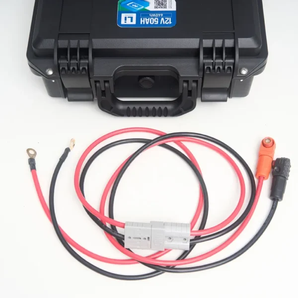 Литиевый аккумулятор тяговый LITJET SMART LiFePO4 12V 50Ah 640Wh in strong case провода