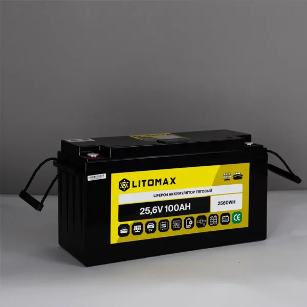 Литиевый аккумулятор тяговый LitoMax LiFePO4 25,6V с цветным монитором вид сбоку