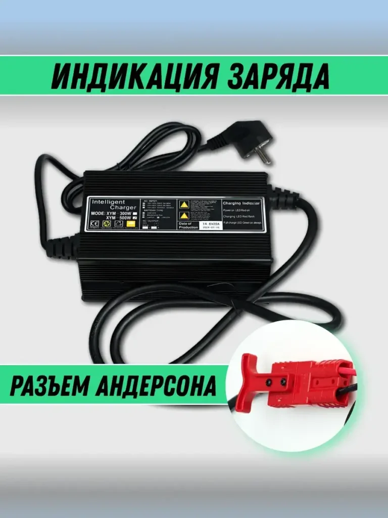 Зарядное устройство однофазное 12 В 20 А, разъём Anderson инфографика