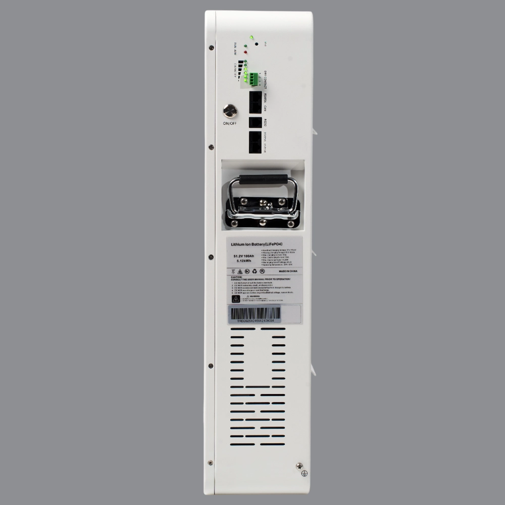 Литиевый аккумулятор тяговый LITJET GREEN LiFePO4 51,2V 100Ah 5KWh 100A, CAN/RS485 c/d 100A настенный 8 Литиевый аккумулятор тяговый LITJET GREEN LiFePO4 51,2V 100Ah 5KWh 100A, CAN/RS485 c/d настенный фото разъемов